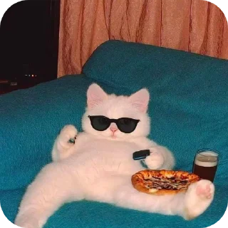 🐱 emoji Мяу мяу Telegram sticker 12 of 73