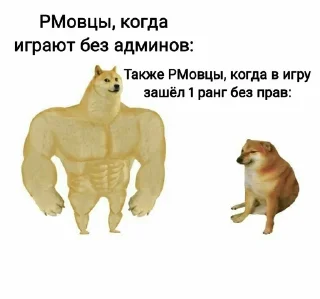 🌟 emoji MEMS | НАШ ЧАТ – @RuBlackMafia Telegram sticker 11 of 65