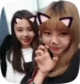 🐱 emoji К поп🫶🏻 by @Ya_rosa11 Telegram sticker 11 of 50