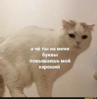 😤 emoji на все случаи жизни Telegram sticker 6 of 120