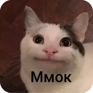 🐱 emoji АЛИК СИЛА Telegram sticker 22 of 25