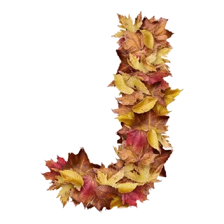 😶 emoji Autumnal @TVstickers Telegram sticker 10 of 27