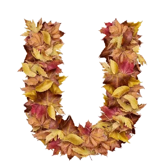 😣 emoji Autumnal @TVstickers Telegram sticker 21 of 27
