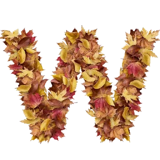 😖 emoji Autumnal @TVstickers Telegram sticker 23 of 27