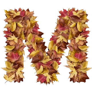 😶 emoji Autumnal @TVstickers Telegram sticker 13 of 27