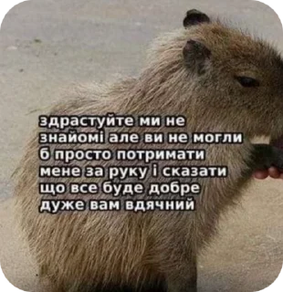 🌟 emoji мняв Telegram sticker 15 of 103