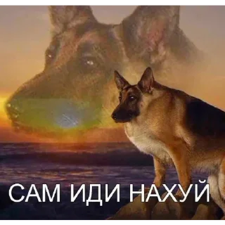 🙂 emoji Стики для лохов Telegram sticker 20 of 117