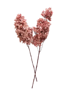 🌟 emoji Plants 🪴 Telegram sticker 19 of 85