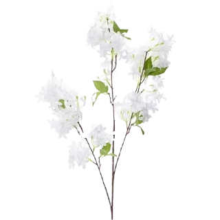 🌟 emoji Plants 🪴 Telegram sticker 6 of 85