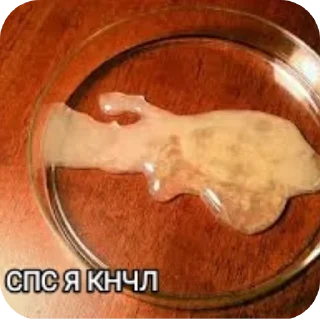🍖 emoji Настя Ш-общительная Telegram sticker 16 of 52