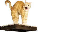 😯 emoji джп.нгтс @jp_ngts Telegram sticker 13 of 60