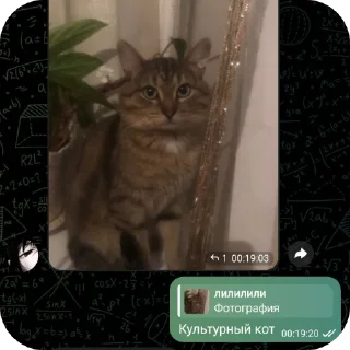 🥰 emoji 🤟🤟🤟 Telegram sticker 16 of 59