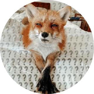 😐 emoji Емоційні тварини Telegram sticker 16 of 38