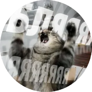 🙀 emoji Емоційні тварини Telegram sticker 24 of 38