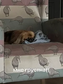 😭 emoji виктория сикрет Telegram sticker 15 of 19