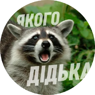 🙀 emoji Емоційні тварини Telegram sticker 6 of 38