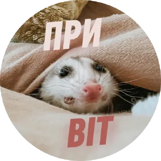 👋 emoji Емоційні тварини Telegram sticker 19 of 38