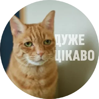 😒 emoji Емоційні тварини Telegram sticker 4 of 38