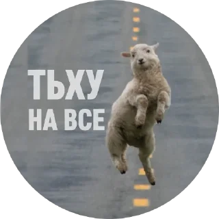 😎 emoji Емоційні тварини Telegram sticker 3 of 38
