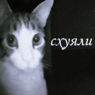 Sticker from последний заезд