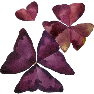 ❤️ emoji Plants by juli Telegram sticker 24 of 39
