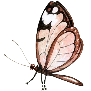 🦋 emoji Plants by juli Telegram sticker 12 of 39