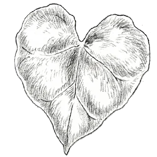 ❤️ emoji Plants by juli Telegram sticker 20 of 39