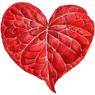 ❤️ emoji Plants by juli Telegram sticker 9 of 39