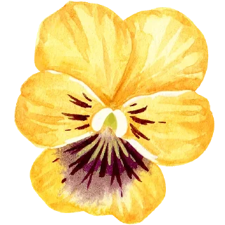 🌼 emoji Plants by juli Telegram sticker 6 of 39