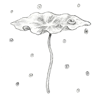 🌧 emoji Plants by juli Telegram sticker 21 of 39