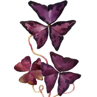 ❤️ emoji Plants by juli Telegram sticker 13 of 39