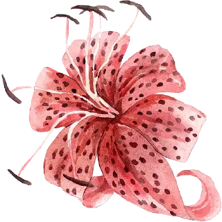 ❤️ emoji Plants by juli Telegram sticker 8 of 39