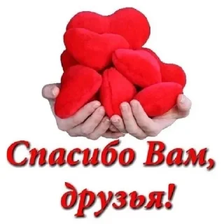 ❤️ emoji СПАСИБО! @PartridgeCharacters Telegram sticker 9 of 51
