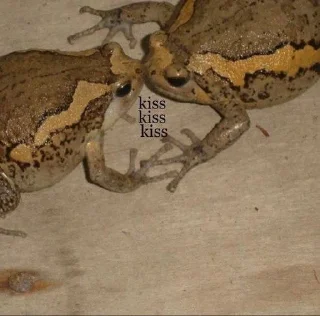 Sticker from жабья нора.