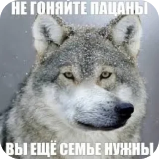 🖼 emoji Кончил Telegram sticker 16 of 22