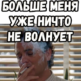 😊 emoji День сурка (2) :: @elsticko Telegram sticker 15 of 120