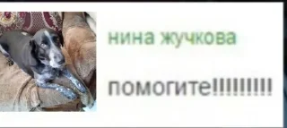 Sticker from Наш любимый рома @sozdat_stikery_bot