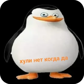 🐦 emoji Жоске пингвиняты 8б Telegram sticker 24 of 38