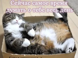 💗 emoji котики от лины Telegram sticker 9 of 55