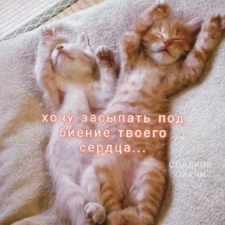 💗 emoji котики от лины Telegram sticker 14 of 55