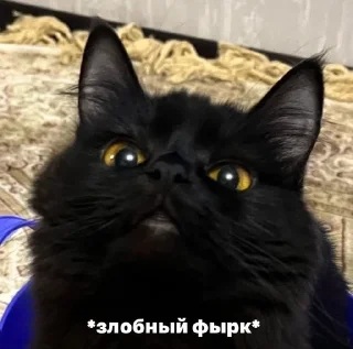 😠 emoji Pufick 2 - Illusion_Pernn Telegram sticker 23 of 120