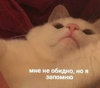 ☺️ emoji Началось Telegram sticker 6 of 120