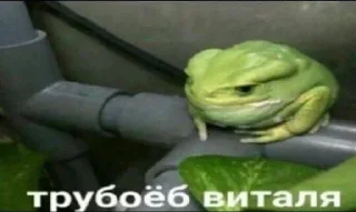 🌟 emoji тупые стикеры из пинтереста Telegram sticker 7 of 80