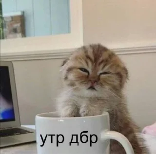 🌟 emoji что-то Telegram sticker 16 of 55