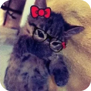 Sticker from Kitty