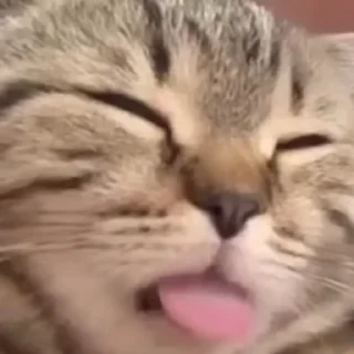 👅 emoji Pufick 5 Love - Illusion_Pernn Telegram sticker 12 of 85
