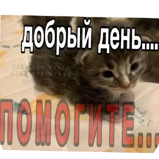 Sticker from Хуйня