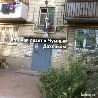 Sticker from Дом!