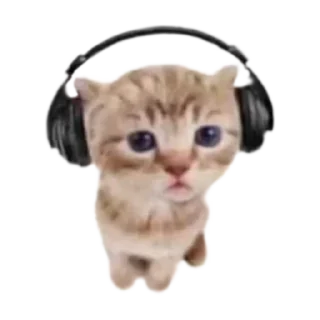 🎧 emoji darinaaa Telegram sticker 4 of 120