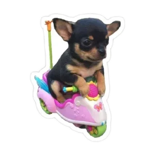 🐶 emoji memes Telegram sticker 4 of 6